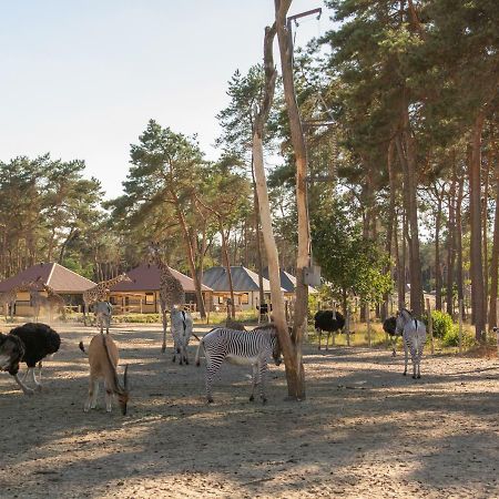 Safari Resort Beekse Bergen Хилваренбек Экстерьер фото