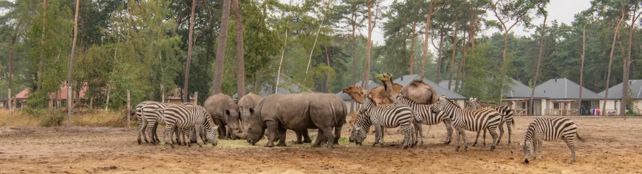 Safari Resort Beekse Bergen Хилваренбек Экстерьер фото