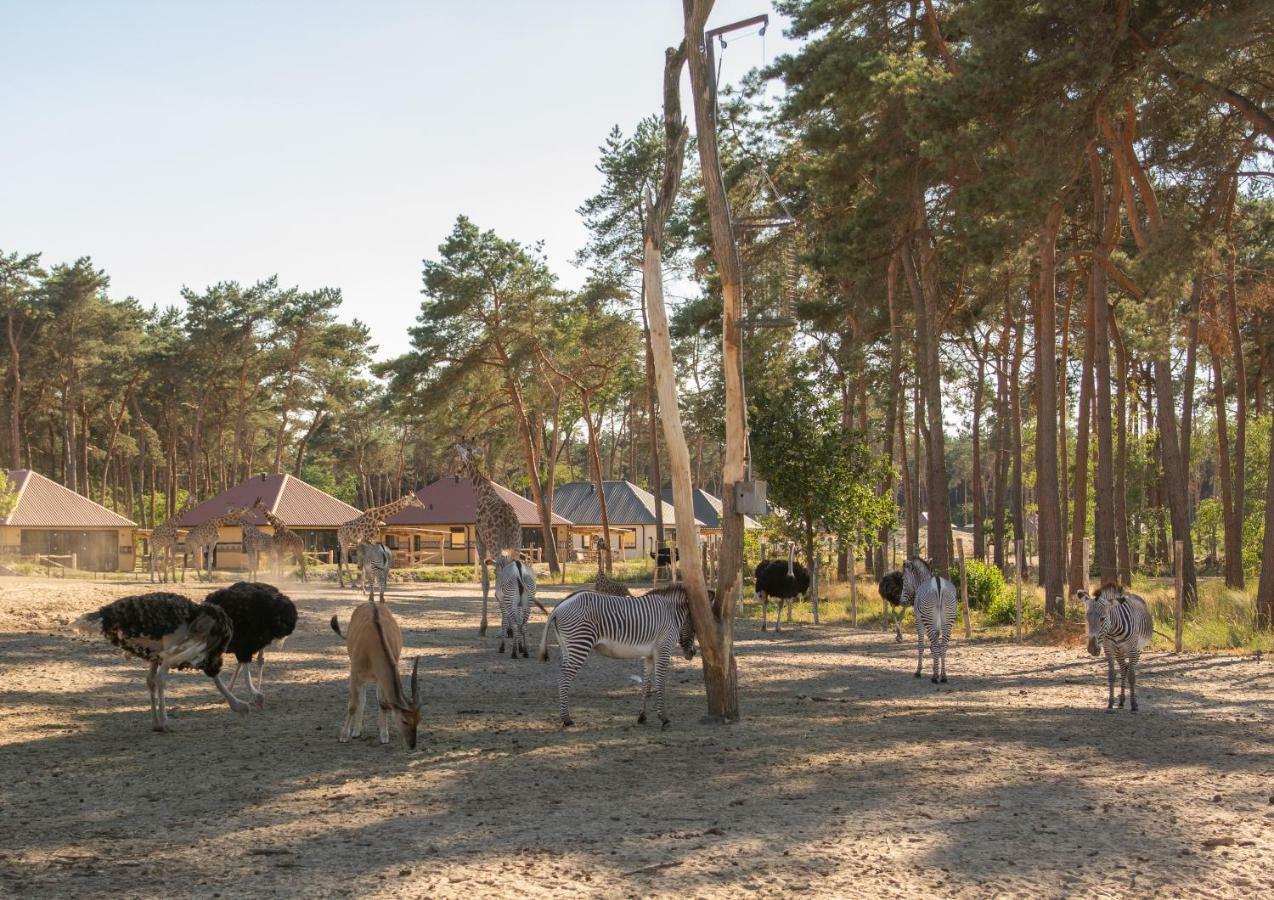 Safari Resort Beekse Bergen Хилваренбек Экстерьер фото
