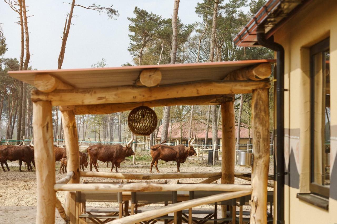 Safari Resort Beekse Bergen Хилваренбек Экстерьер фото